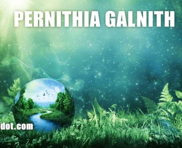 Pernithia Galnith: Innovation in Science, Tech & Culture